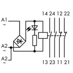 Reléový modul WAGO 789-536, 24 V/DC, 24 V/AC, 4 A, 2 spínací kontakty, 2 rozpínací kontakty