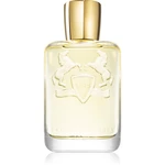 Parfums De Marly Shagya parfémovaná voda pro muže 125 ml