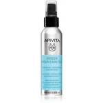 Apivita Greek Mountain Tea Face Water antioxidační hydratační mlha 100 ml