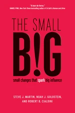 The small BIG