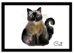 Plakát v rámu, Kočka - černý rámeček, 60x40 cm