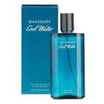 Davidoff Cool Water Man pánská toaletní voda 125 ml