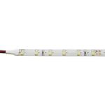 Barthelme 51513228 51513228 LED pásik  voľný koniec 12 V 5 m teplá biela