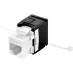 Renkforce  zabudovaný modul RJ45 Keystone CAT 6