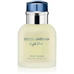 Dolce&Gabbana Light Blue Pour Homme toaletní voda pro muže 40 ml