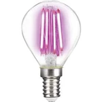 LED žárovka LightMe LM85313 230 V, E14, 4 W, růžová, A (A++ - E), kapkovitý tvar, vlákno, 1 ks