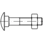 Plochý kulatý šroub TOOLCRAFT 111205, N/A, M10, 60 mm, ocel, 100 ks