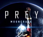 Prey - Mooncrash DLC Steam CD Key