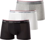 Tommy Hilfiger 3 PACK - pánské boxerky 1U87903841-004 XL