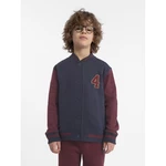 Boys' cotton sweatshirt