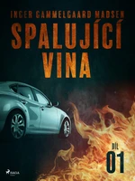 Spalující vina - Díl 1 - Inger Gammelgaard Madsen - e-kniha