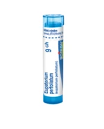 Boiron EUPATORIUM PERFOLIATUM CH9 granule 4 g