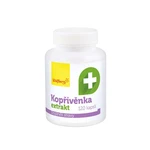 WOLFBERRY Kopřivěnka extrakt 120 kapslí
