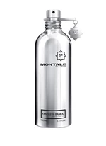 Montale Fantastic Basilic - EDP 2 ml - odstřik s rozprašovačem