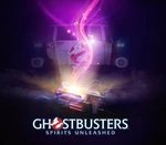 Ghostbusters: Spirits Unleashed XBOX One Account