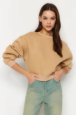 Trendyol Beige Comfort Fit Crop Basic Crew Neck Fleece Inside Knitted Sweatshirt