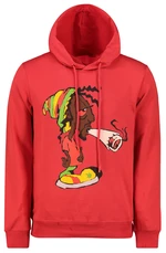 Felpa con cappuccio da uomo Aliatic