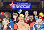 Election Year Knockout Steam CD Key