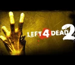 Left 4 Dead 2 Steam Account