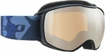 Julbo Echo Ski Goggles Silver/Blue Gafas de esquí