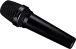 LEWITT MTP 250 DMs Vokální dynamický mikrofon