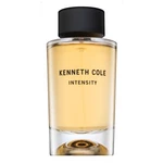 Kenneth Cole Intensity toaletná voda unisex 100 ml