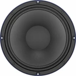 Turbosound TS-10W300/8A