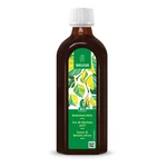 Weleda Brezová šťava (bez cukru) BIO 250 ml