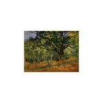 Reprodukcja obrazu Claude'a Moneta – The Bodmer Oak, Fontainebleau Forest, 70x50 cm