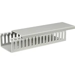 Basetech BT-2226755 káblový kanál  (d x š x v) 2000 x 65 x 45 mm 1 ks sivá