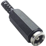 TRU COMPONENTS  nízkonapäťový konektor zásuvka, rovná  3.5 mm 1.3 mm 1 ks