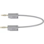 Stäubli LK205 merací kábel [lamelový zástrčka 2 mm  - lamelový zástrčka 2 mm ] 45.00 cm sivá 1 ks