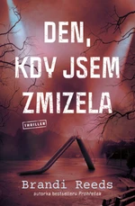 Den, kdy jsem zmizela - Brandi Reeds - e-kniha