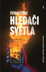 Hledači světla - Femi Kayode - e-kniha