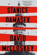 Stanice Damašek - McCloskey David - e-kniha