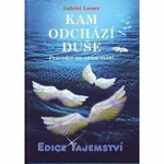 Kam odchází duše - Looser Gabriel