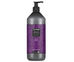 Šampón pre melírované vlasy Black Platinum No Yellow - 1000 ml (250028) + darček zadarmo