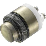 Tlačítko antivandal TRU COMPONENTS GQ-16B-M, 48 V/DC, 2 A, mosaz, 1 ks