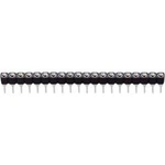 Pinová lišta BKL 10120834, 1x 32pól., 2,54 mm, zásuvka
