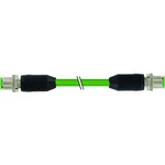 Upravený zástrčkový konektor pro senzory - aktory Murr Elektronik 7000-44511-6590500 5.00 m, 1 ks