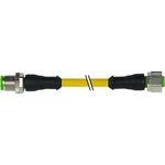 Upravený zástrčkový konektor pro senzory - aktory Murr Elektronik 7000-40021-0240030 0.30 m, 1 ks