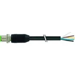 Neupravený zástrčkový konektor pro senzory - aktory Murr Elektronik 7000-19301-7061000 10.00 m, 1 ks