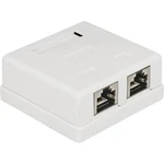 Síťová zásuvka pod omítku Delock 86269, CAT 6, 2 porty, bílá