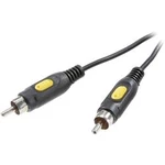 Kompozitní cinch video kabel [1x cinch zástrčka - 1x cinch zástrčka] 2.00 m černá SpeaKa Professional
