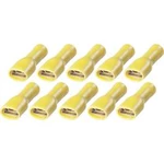 Sada fastonů FSPV 6,3-6, 3258921, 6,3 mm, 2,5 - 6 mm², žlutá, 10 ks