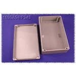 Vkládací deska Hammond Electronics 1590ZGRP243PL, ocelový plech, přírodní, 1 ks