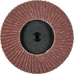 Vějířovitý brusný kotouč PFERD CDR PFF 75 A 80 47202091, Ø 75 mm/