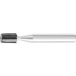 Kůň na držák brusných tělísek PFERD 42100610 6 mm, 5 ks