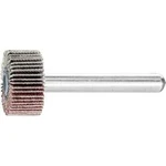 Vějířová bruska NA KŮŇ PFERD 44400156 Průměr 20 mm