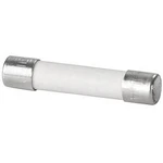 Weidmüller 0546900000 trubičková pojistka 0.25 A 250 V